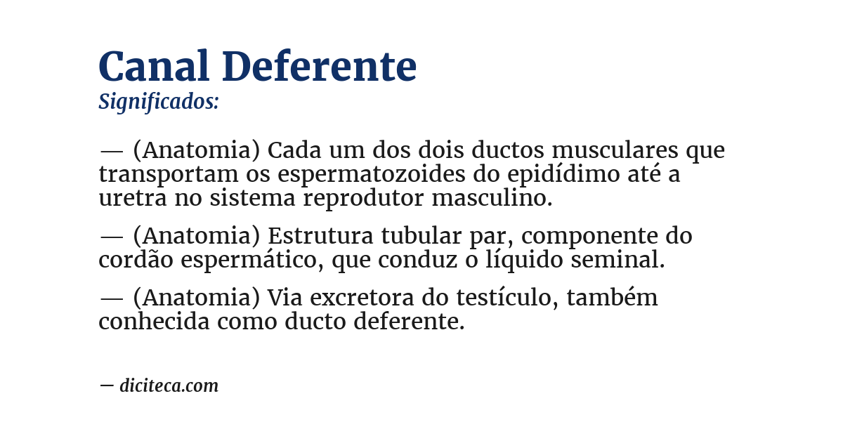 Significado de canal deferente