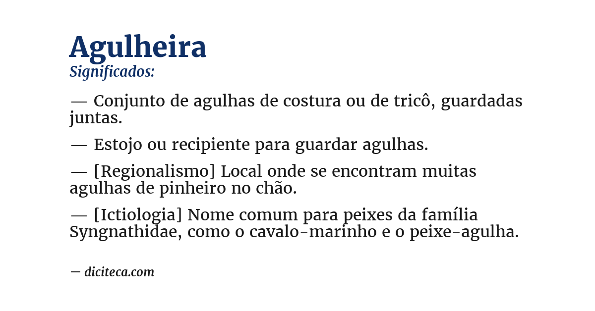 Significado de agulheira