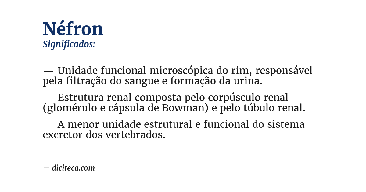 Significado de néfron