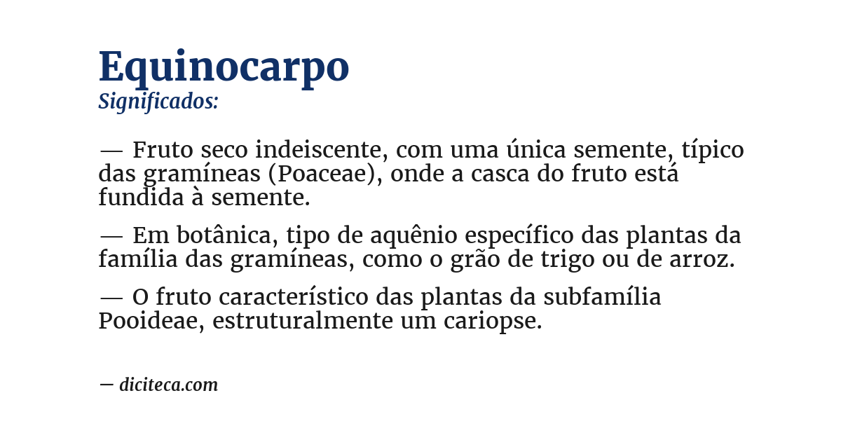 Significado de equinocarpo