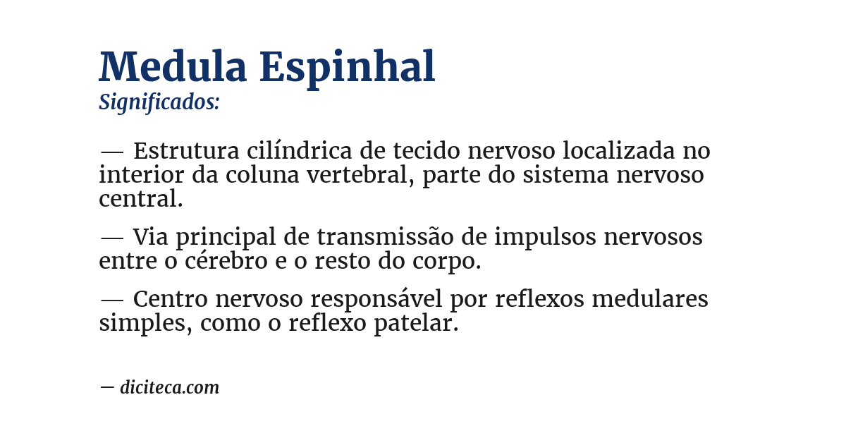 Significado de medula espinhal