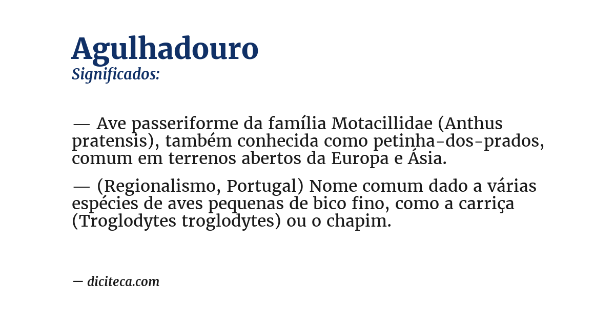 Significado de agulhadouro