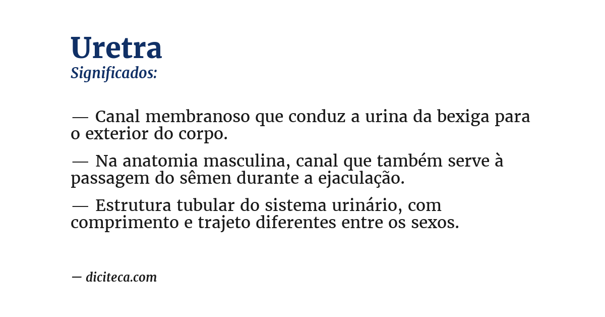 Significado de uretra
