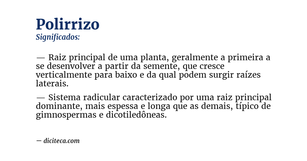 Significado de polirrizo