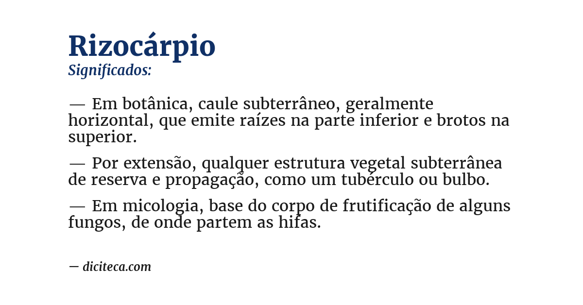 Significado de rizocárpio