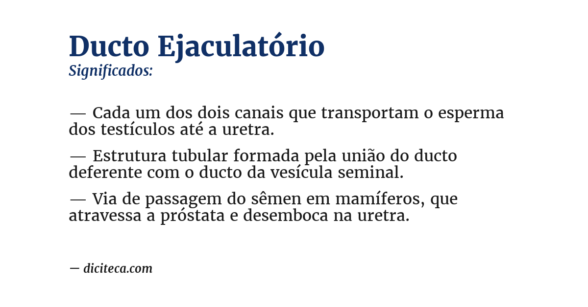 Significado de ducto ejaculatório