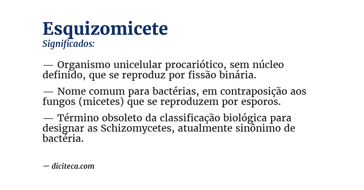 Significado de esquizomicete