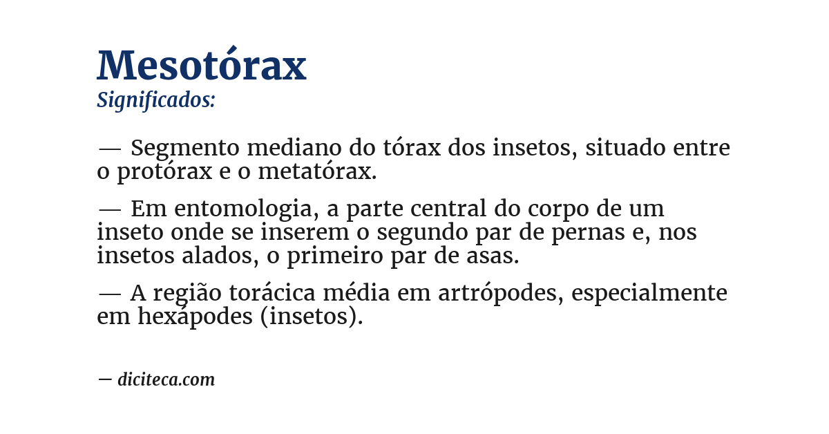 Significado de mesotórax