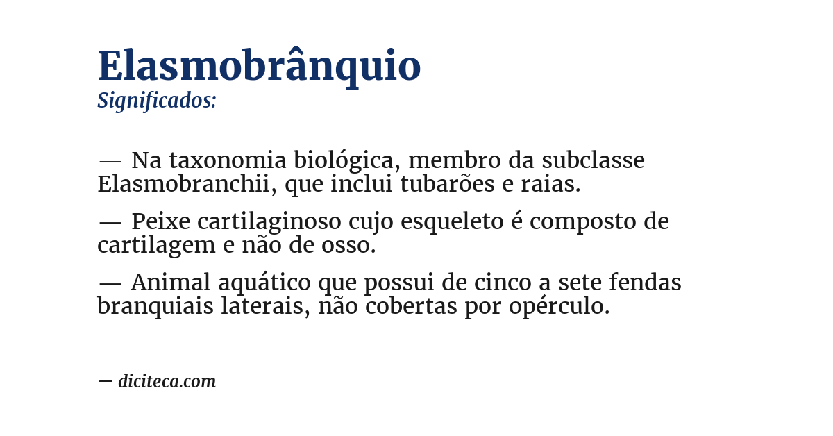 Significado de elasmobrânquio