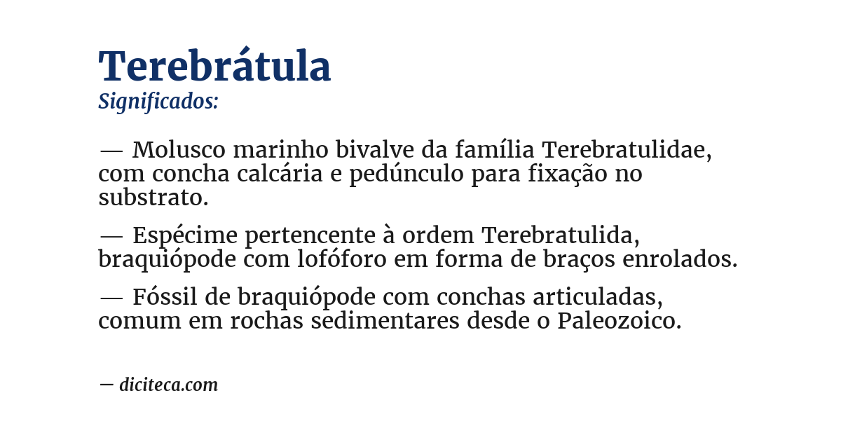 Significado de terebrátula