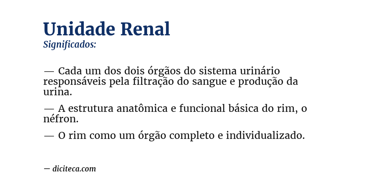 Significado de unidade renal