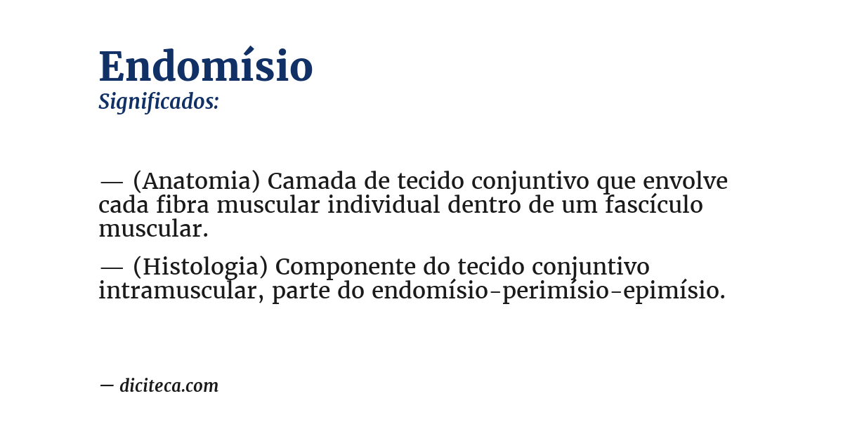 Significado de endomísio