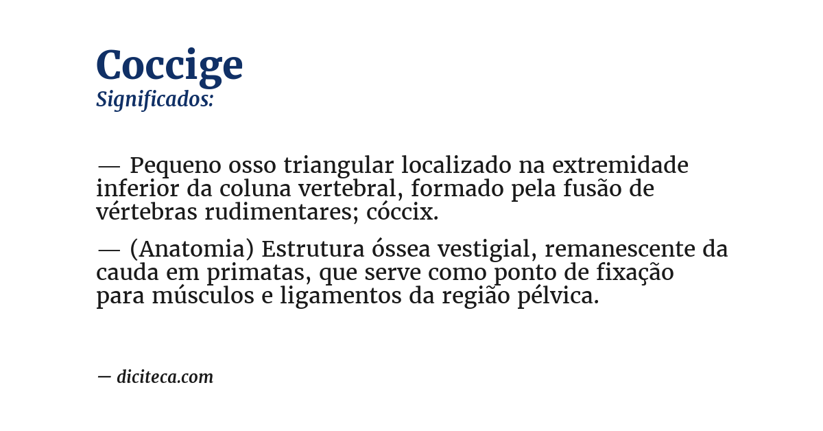 Significado de coccige