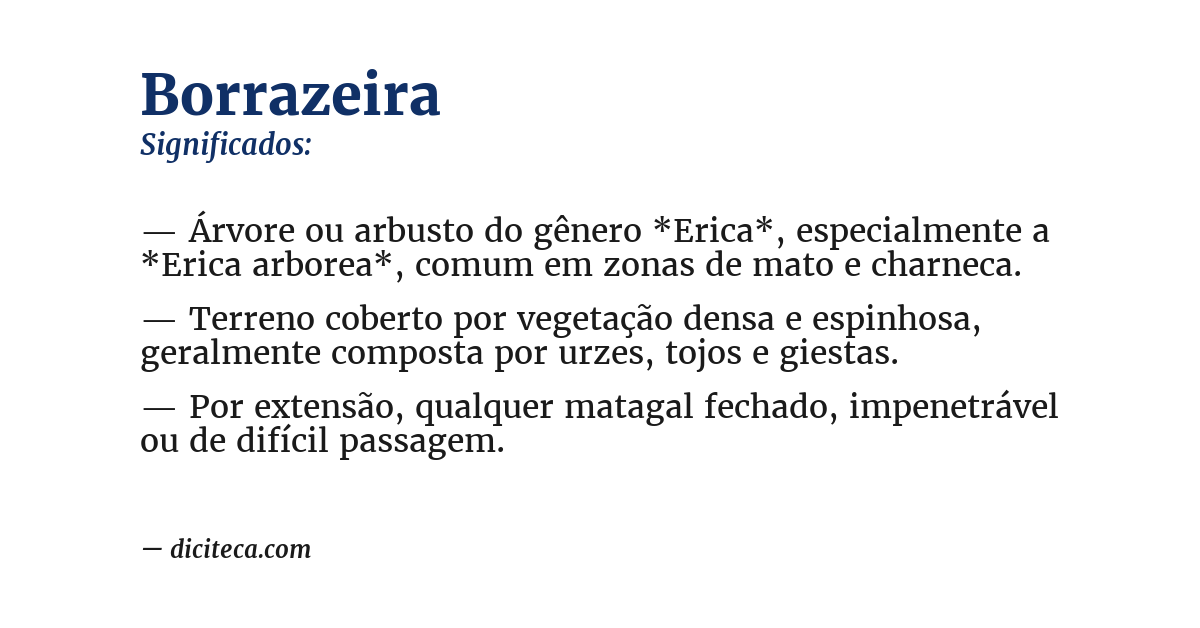 Significado de borrazeira