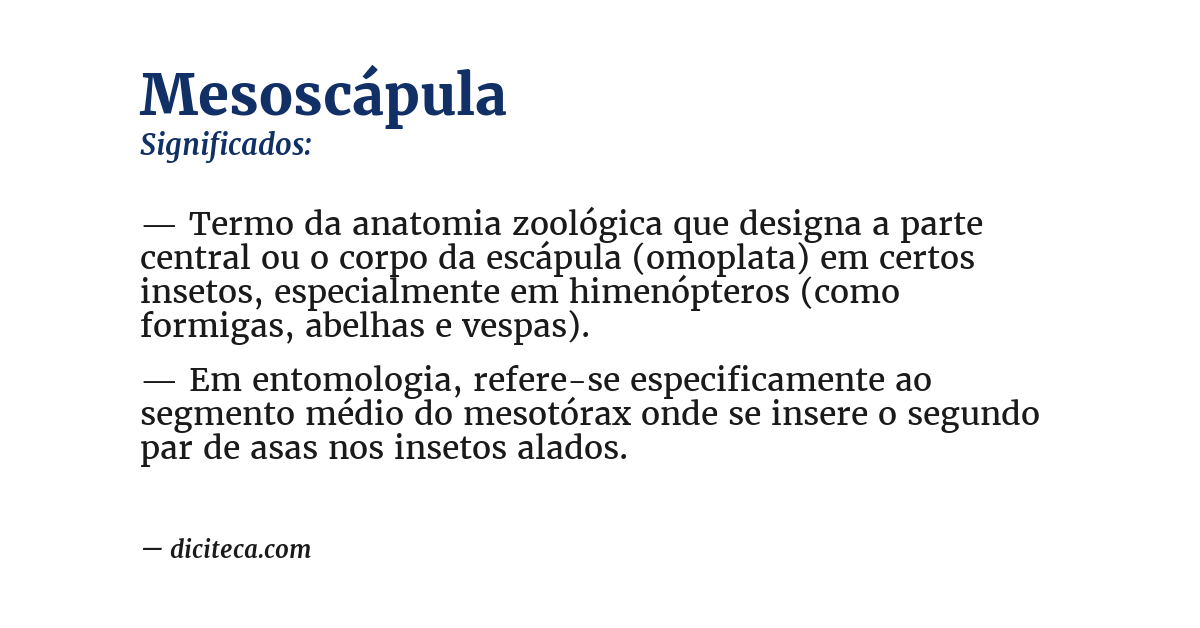 Significado de mesoscápula